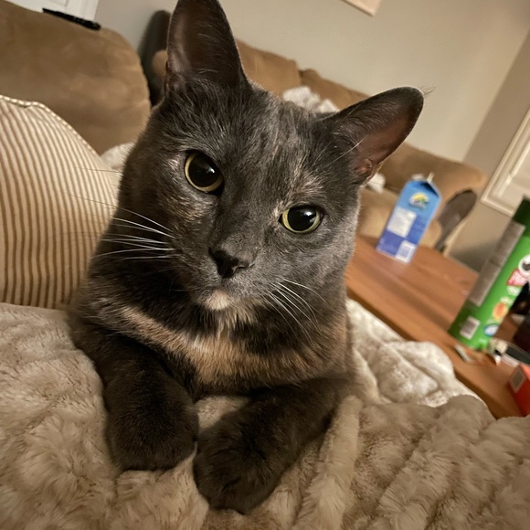 🚨ATTENTION🚨 - Picture 2 of 8